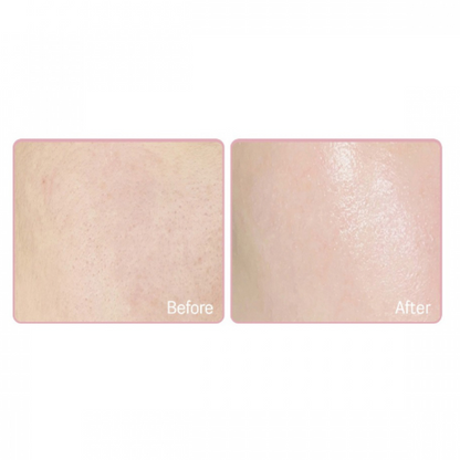 Round Lab - Birch Moisture Tone-Up Sunscreen - tonuojanti apsauga nuo saulės